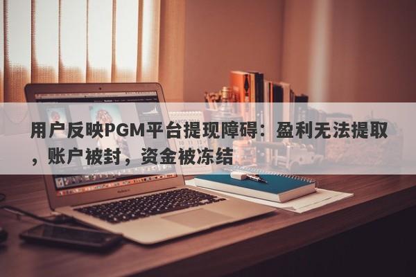 用户反映PGM平台提现障碍：盈利无法提取，账户被封，资金被冻结-第1张图片-要懂汇