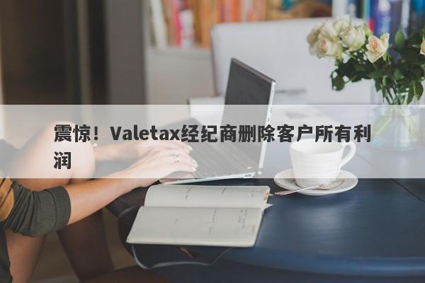 震惊！Valetax经纪商删除客户所有利润-第1张图片-要懂汇