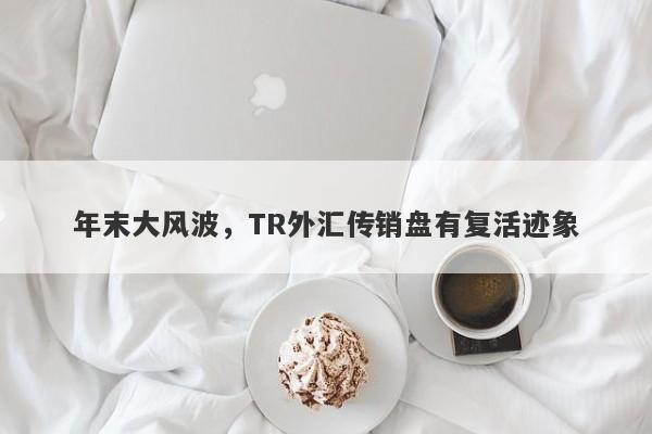 年末大风波，TR外汇传销盘有复活迹象-第1张图片-要懂汇