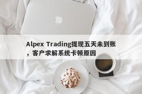 Alpex Trading提现五天未到账，客户求解系统卡顿原因-第1张图片-要懂汇