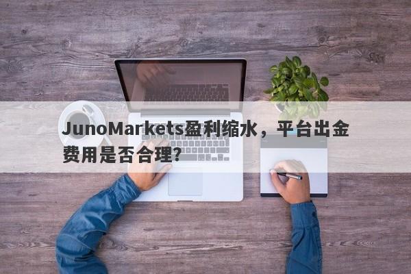 JunoMarkets盈利缩水，平台出金费用是否合理？-第1张图片-要懂汇