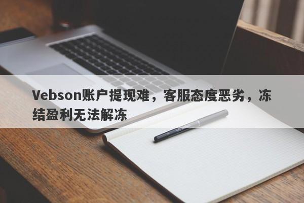 Vebson账户提现难，客服态度恶劣，冻结盈利无法解冻-第1张图片-要懂汇