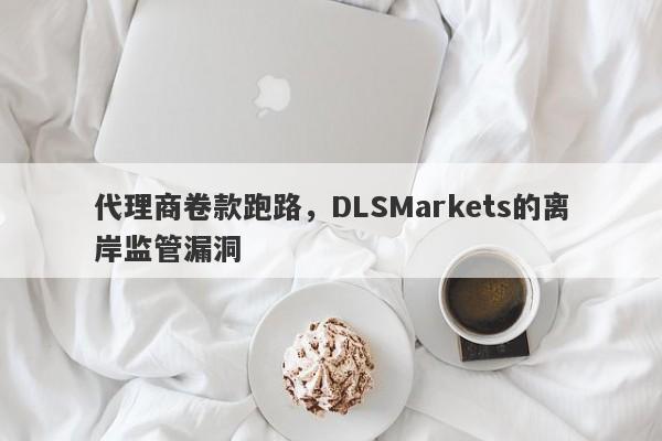 代理商卷款跑路，DLSMarkets的离岸监管漏洞-第1张图片-要懂汇