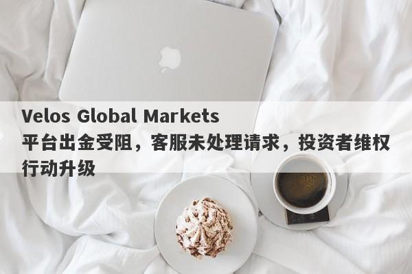 Velos Global Markets平台出金受阻，客服未处理请求，投资者维权行动升级-第1张图片-要懂汇