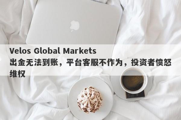 Velos Global Markets出金无法到账，平台客服不作为，投资者愤怒维权-第1张图片-要懂汇