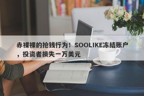 赤裸裸的抢钱行为！SOOLIKE冻结账户，投资者损失一万美元-第1张图片-要懂汇